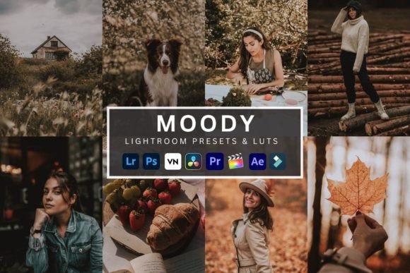 Download Moody Lightroom Presets &amp; Luts - Moody lightroom presets Collection